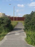 Der ehemalige Mauerstreifen an der Bernauer Straße im Juni 2009 Foto: Ralph Hoppe