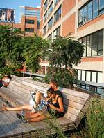 Im High Line Park. Foto: Paul Gronert