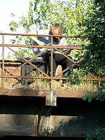 Das Ungewöhnliche in der Stadt entdecken: Im Sommer auf den Yorckbrücken. Foto: Jörg Zintgraf